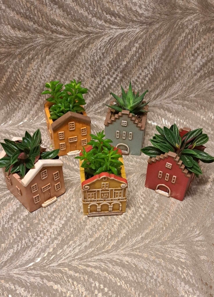 'House' Plants