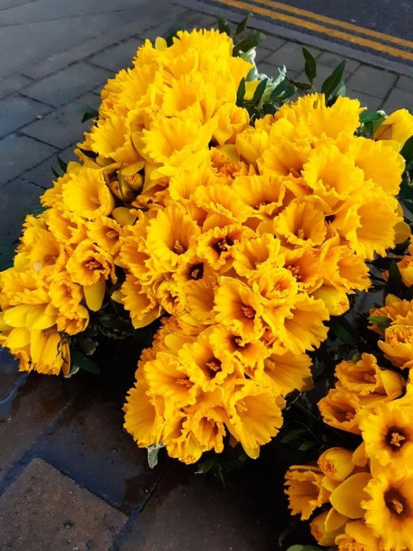 Mum in Daffodils