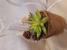 Succulent pot (artificial)
