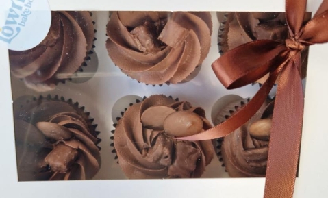 Chocolate Cupcakes