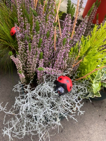 Autumn Garden Planter