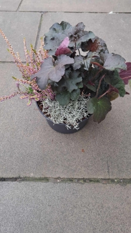 Autumn Planter