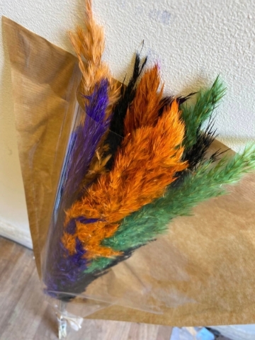 Halloween Pampas Grass Bunch