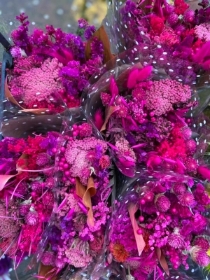 Hot Pink Dried Bunch