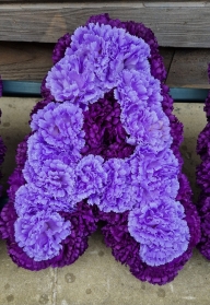 NAN in Purple and lilac